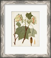 Framed 'Antique Leaves III' border=