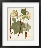 Framed 'Antique Leaves III' border=