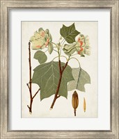 Framed 'Antique Leaves III' border=