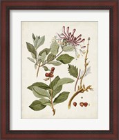 Framed 'Vintage Flowering Trees III' border=