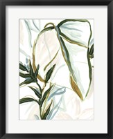 Tropical Impromptu III Framed Print