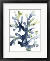 Liquid Coral I Framed Print