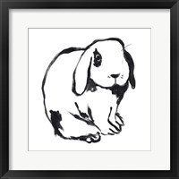 Winter Rabbit III Framed Print