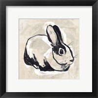 Framed 'Antique Rabbit I' border=