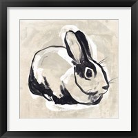 Framed 'Antique Rabbit I' border=