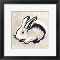 Framed 'Antique Rabbit II' border=