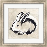 Framed 'Antique Rabbit II' border=