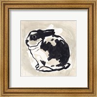 Framed 'Antique Rabbit IV' border=