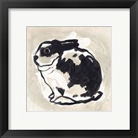 Framed 'Antique Rabbit IV' border=