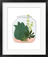 Framed 'Terrarium Cameo II' border=