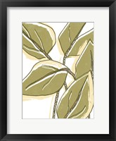 Tropical Offset I Framed Print