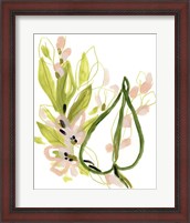 Framed 'Tropical Cadenza II' border=