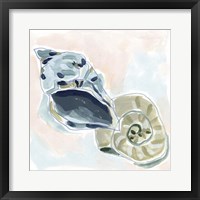 Shell Melody II Framed Print