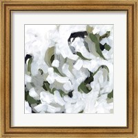 Framed 'Snow Lichen II' border=