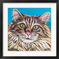 Framed 'High Society Cat I' border=