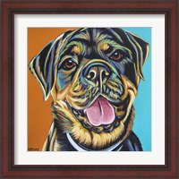 Framed 'Rottweiler II' border=