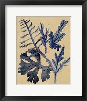 Underwater Forest II Framed Print