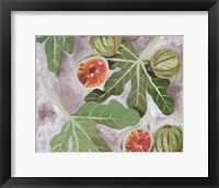 Decorative Fig II Framed Print