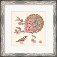 Framed 'Basket with Fruit I' border=