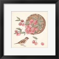 Framed 'Basket with Fruit I' border=