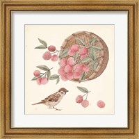 Framed 'Basket with Fruit I' border=