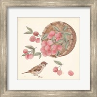 Framed 'Basket with Fruit I' border=