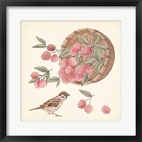 Framed 'Basket with Fruit I' border=