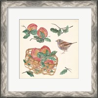 Framed 'Basket with Fruit II' border=