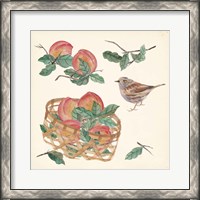 Framed 'Basket with Fruit II' border=