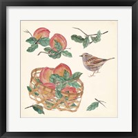 Framed 'Basket with Fruit II' border=