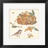 Framed 'Basket with Fruit III' border=