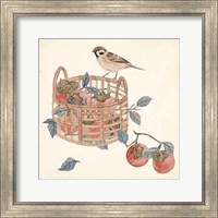 Framed 'Basket with Fruit IV' border=