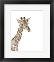 Framed 'Safari Animal Portraits II' border=