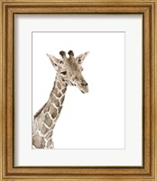 Framed 'Safari Animal Portraits II' border=