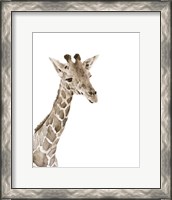 Framed 'Safari Animal Portraits II' border=