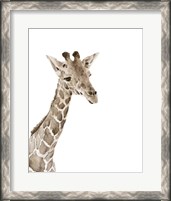 Framed 'Safari Animal Portraits II' border=