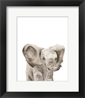 Framed 'Safari Animal Portraits III' border=