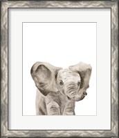 Framed 'Safari Animal Portraits III' border=