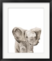 Framed 'Safari Animal Portraits III' border=