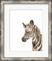 Framed 'Safari Animal Portraits IV' border=