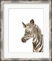 Framed 'Safari Animal Portraits IV' border=