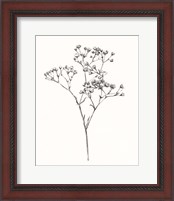 Framed 'Wild Bloom Sketch I' border=