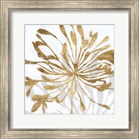 Framed 'Golden Gilt Bloom I' border=