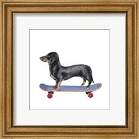 Framed 'Pups on Wheels II' border=