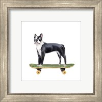 Framed 'Pups on Wheels IV' border=