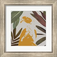 Framed 'Graphic Tropical Bird II' border=