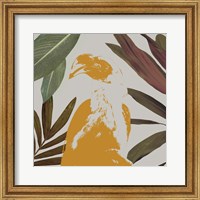 Framed 'Graphic Tropical Bird II' border=