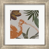 Framed 'Graphic Tropical Bird VI' border=