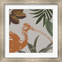 Framed 'Graphic Tropical Bird VI' border=