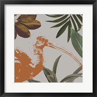 Graphic Tropical Bird VI Framed Print